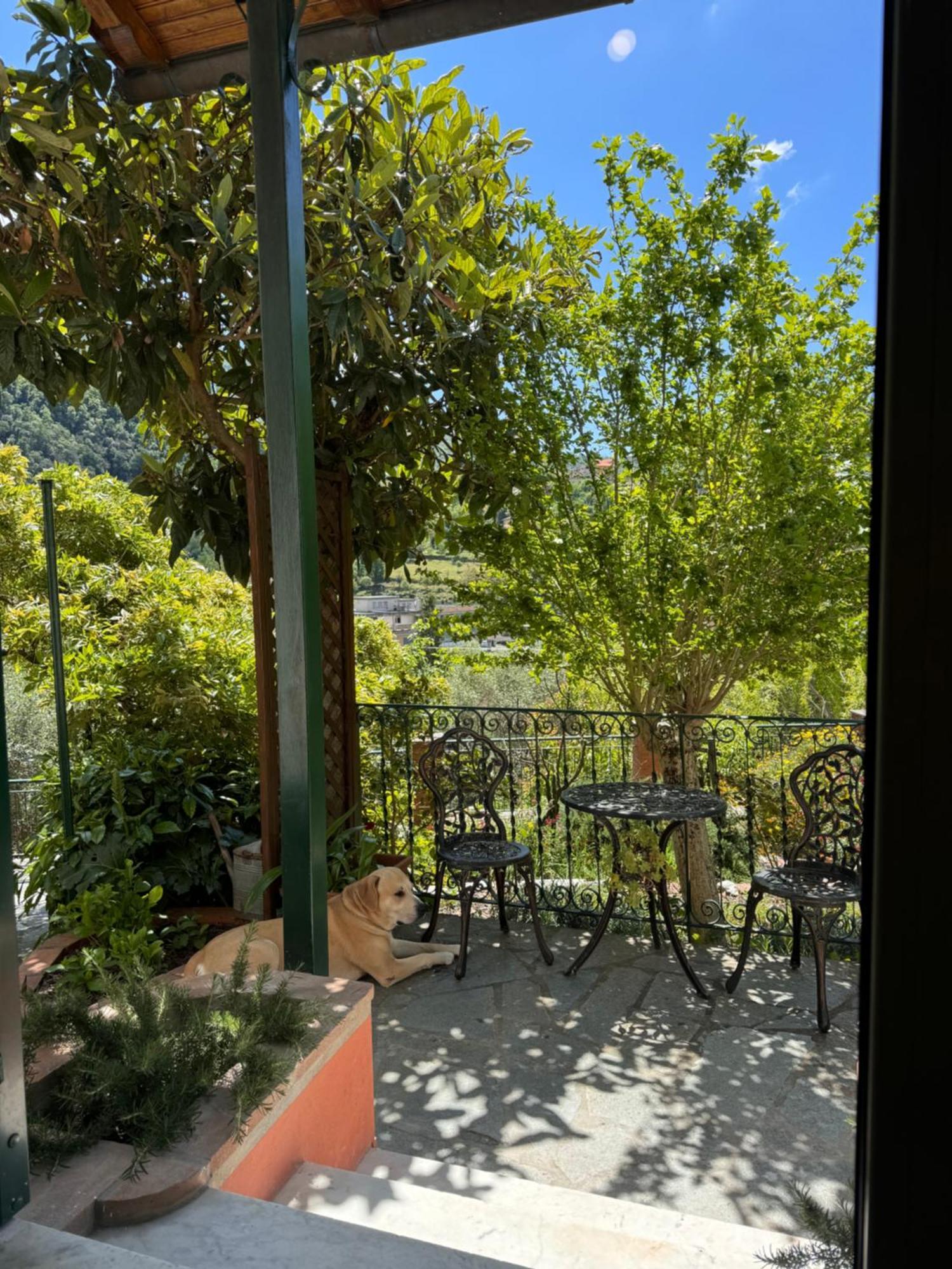 “Da Gio” In Un Antico Borgo Di Genova Apartment Bagian luar foto